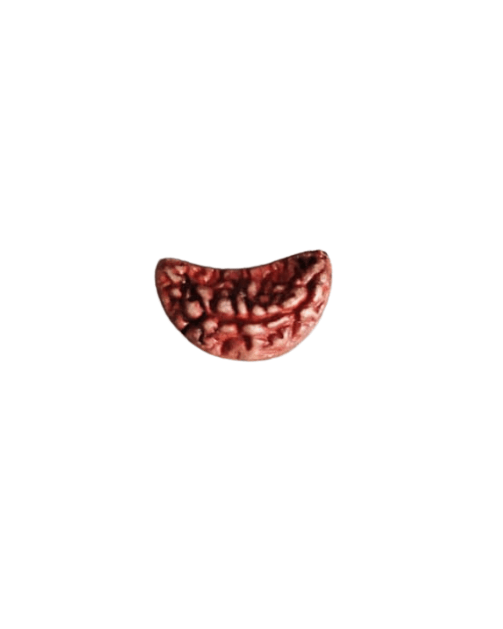 Ek Mukhi Rudraksha - Image 2