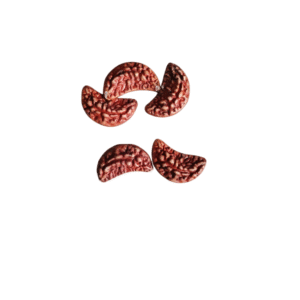 Ek Mukhi Rudraksha