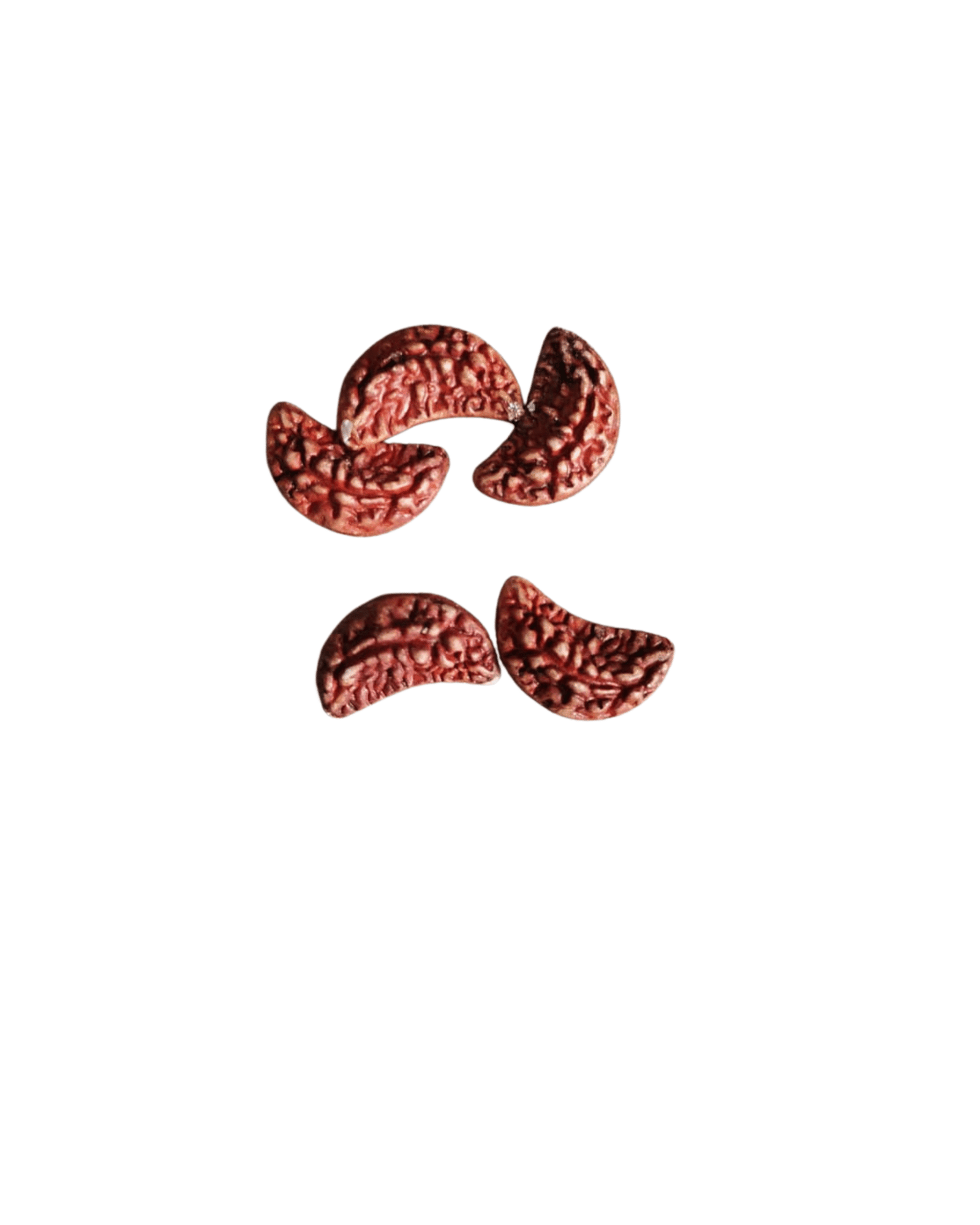 Ek Mukhi Rudraksha
